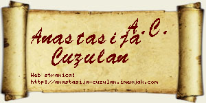 Anastasija Ćuzulan vizit kartica